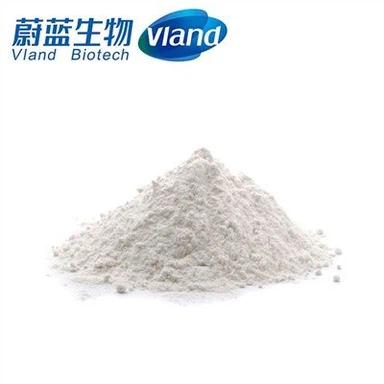 Transglutaminase (TG)